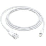 Câble iPhone USB Original